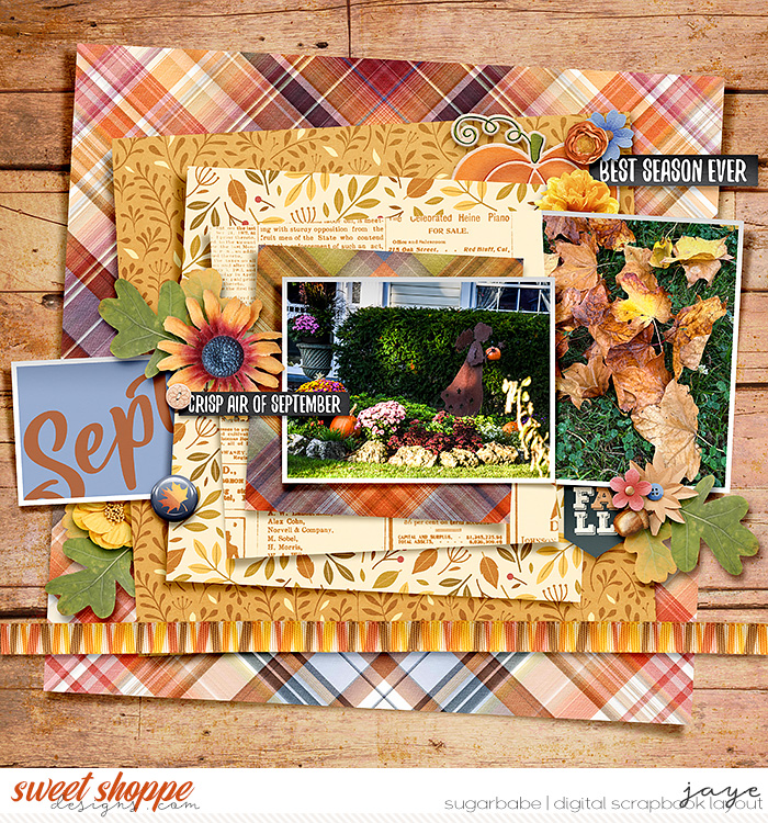 Fall is in the Air