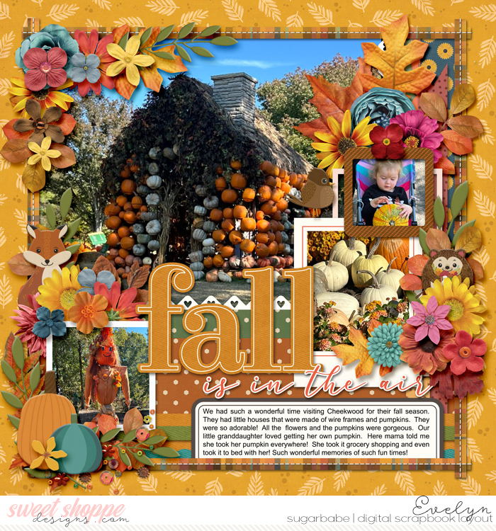 Fall is In the Air