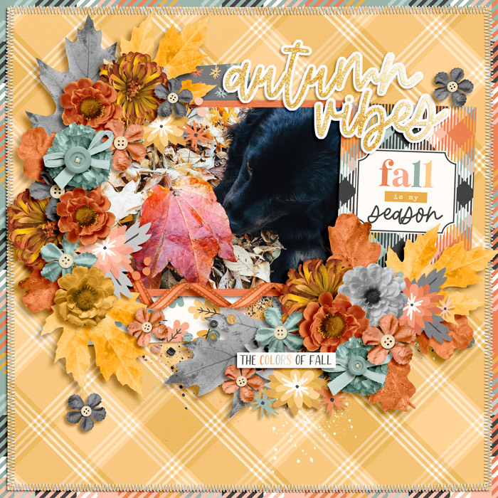 Fall is my season