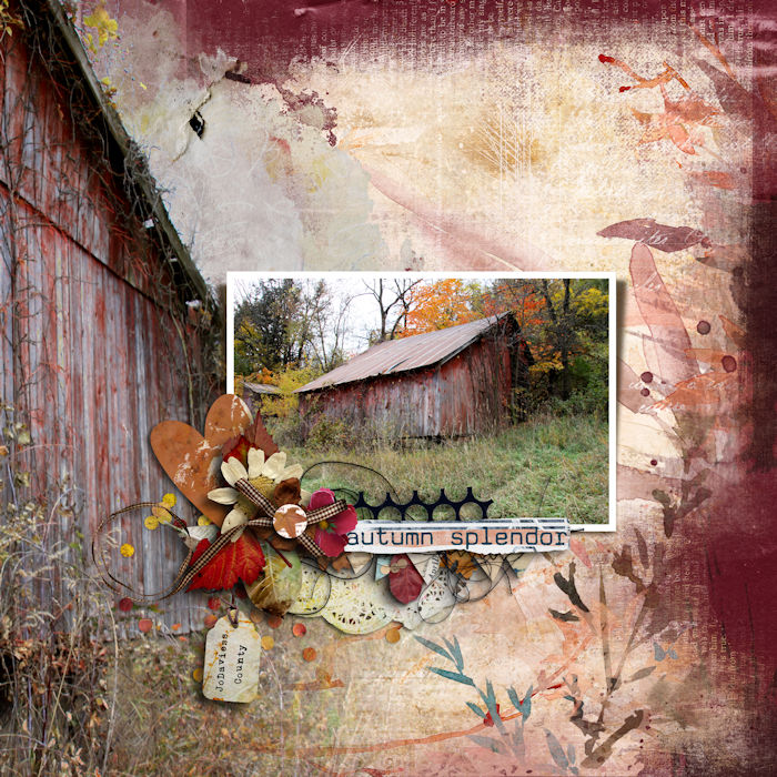 Fall JoDaviess County