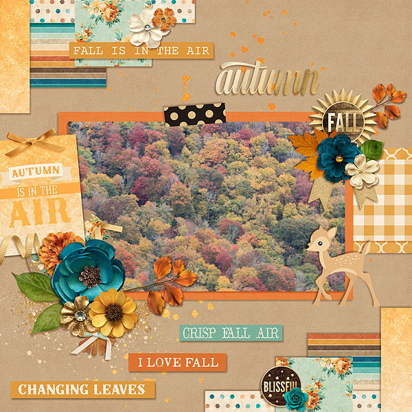 Fall Leaves