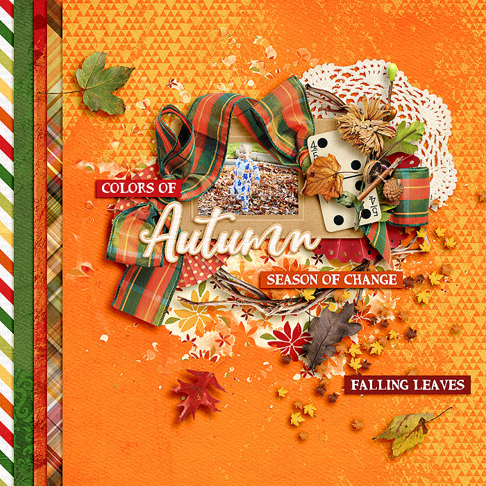 Fall Leaves