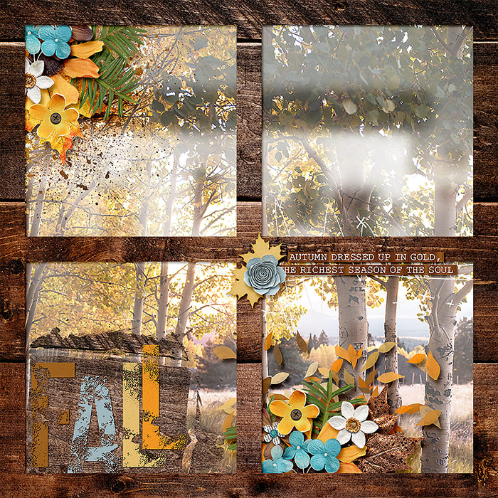 Fall Outside The Window