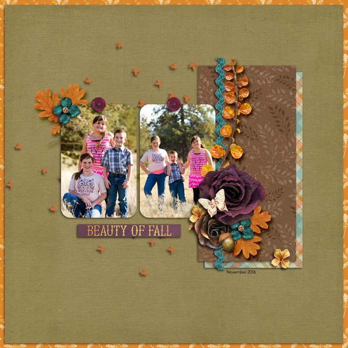 Fall Photos
