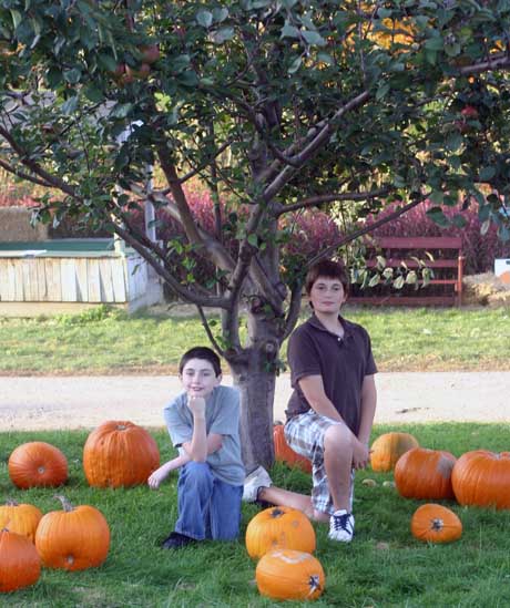 Fall Signs