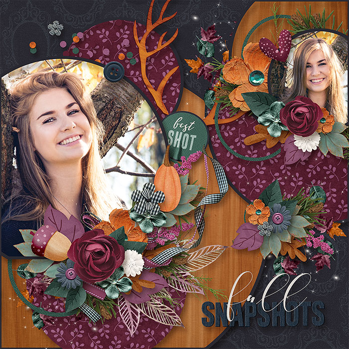 Fall snapshots