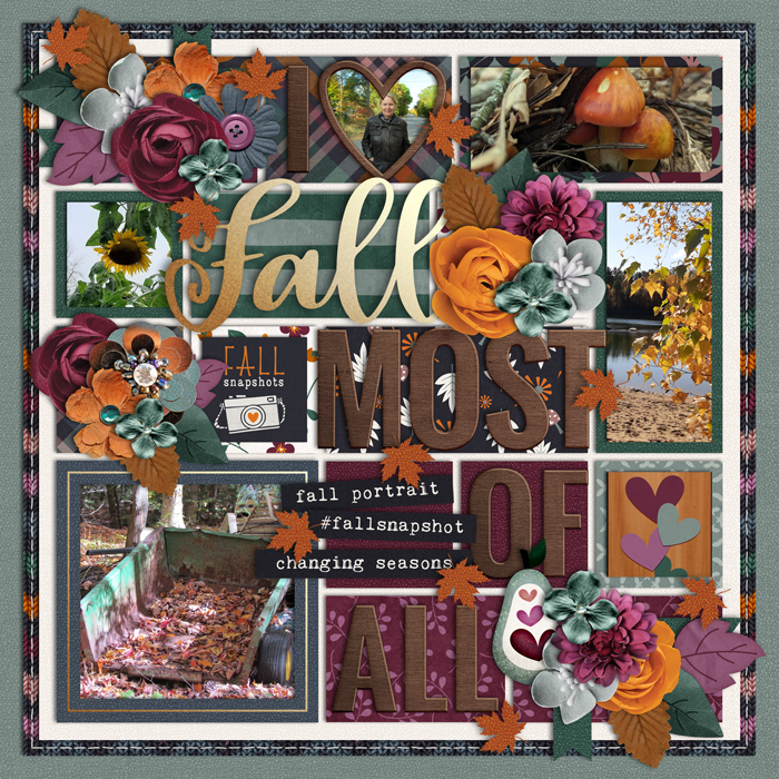 Fall snapshots