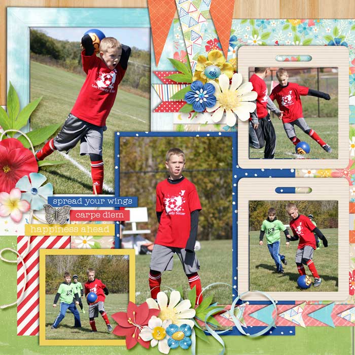 Fall Soccer (1) - Left