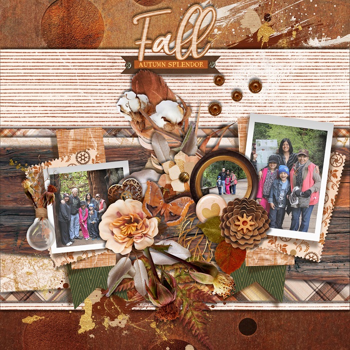 FALL SPLENDOR