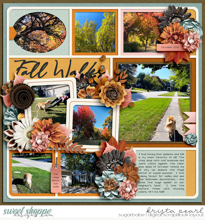 Fall Walks