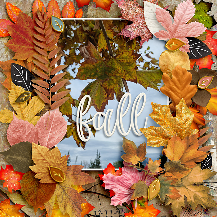 Fall