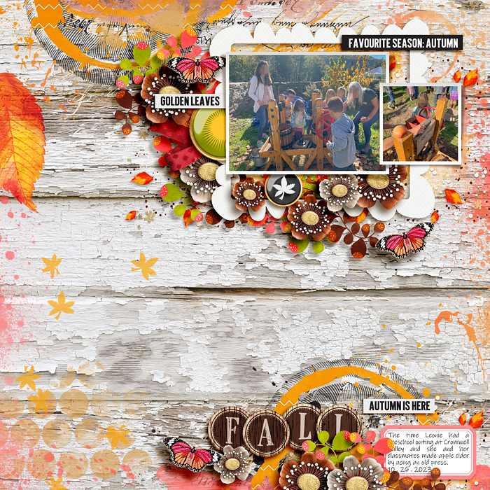 Fall