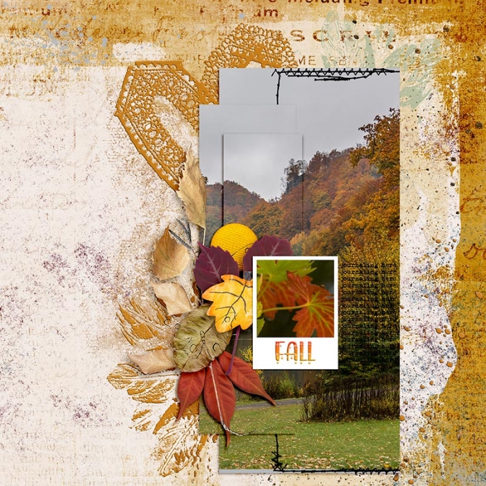 Falling Leaves