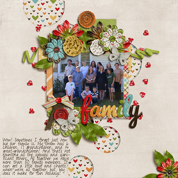 Family 2011