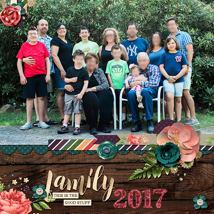 Family 2017