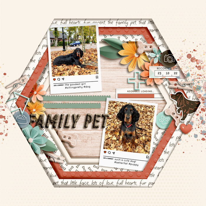 Family Pet: Tinka The Setterflat