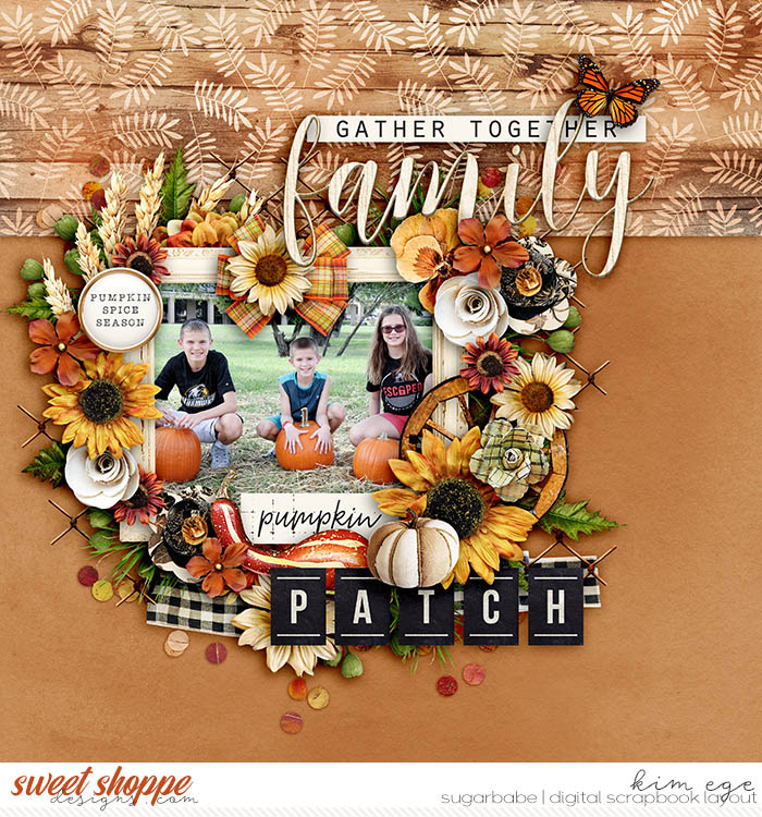 Family Pumpkin Patch