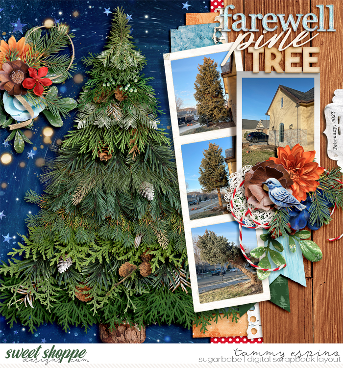 farewell pine tree