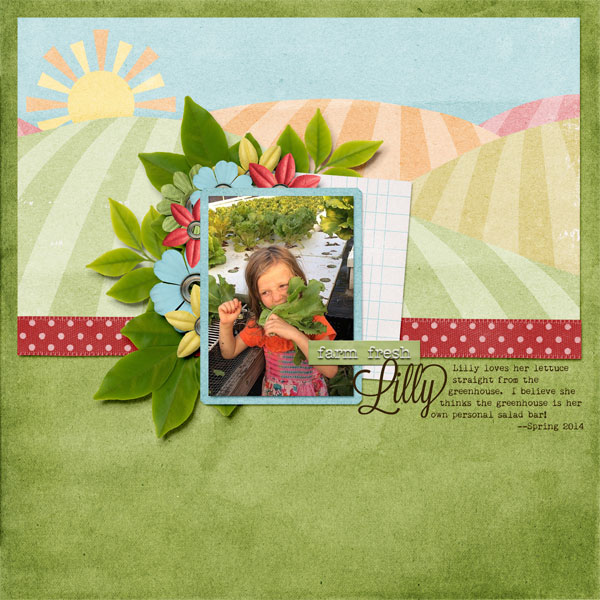 Farm Fresh Lilly