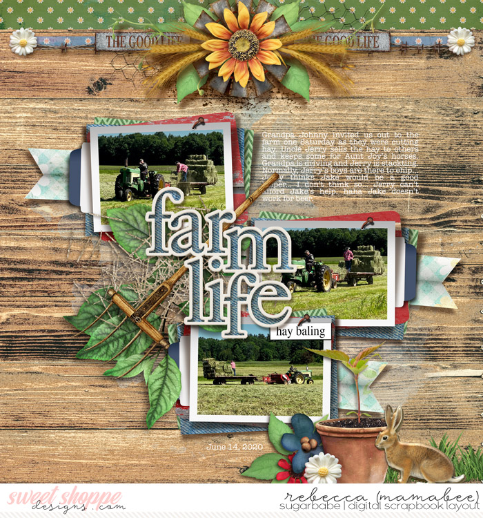 farm life