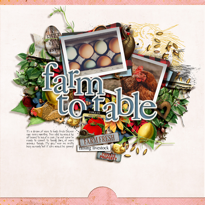 Farm to table