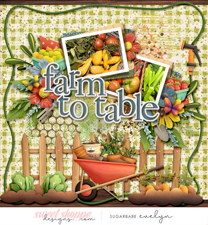 Farm to Table