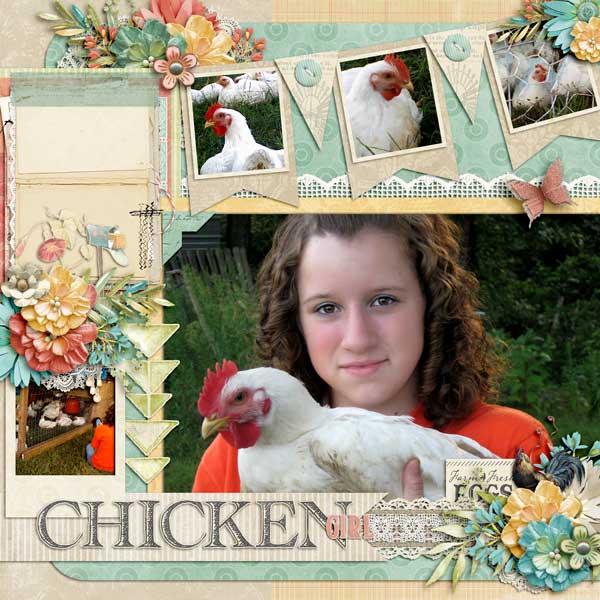 Farmhouse Chick