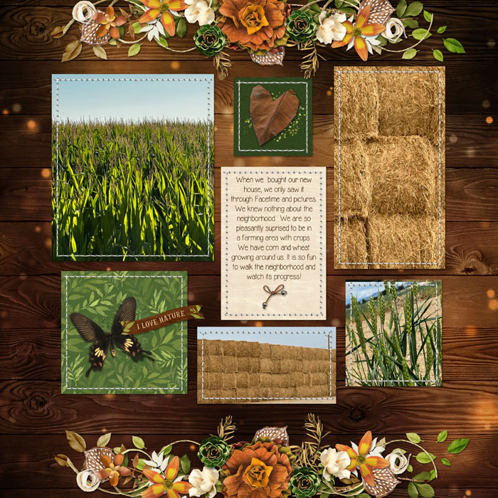 Farming Community