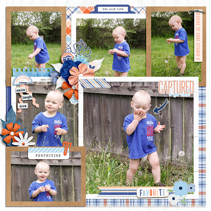 Fascinated with Dandelions