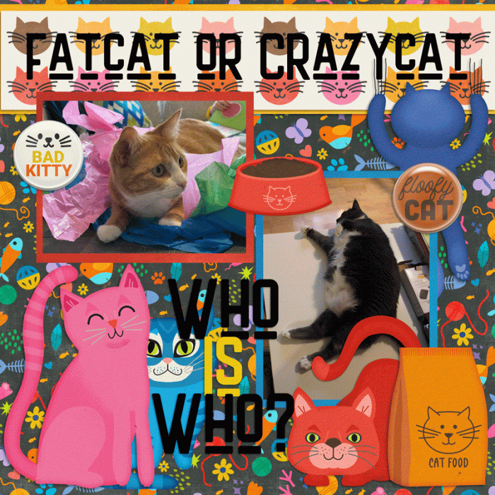 Fat or Crazy?