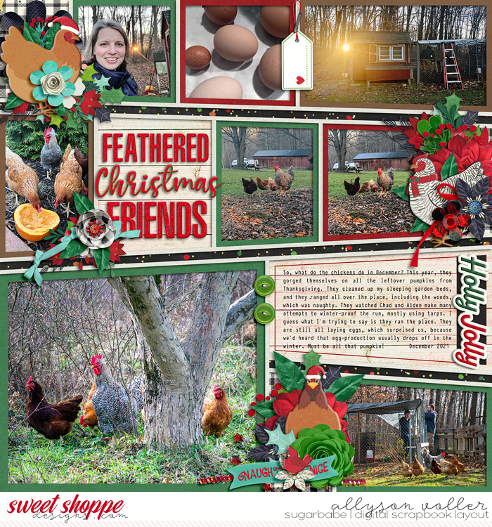 Feathered Friends at Christmas