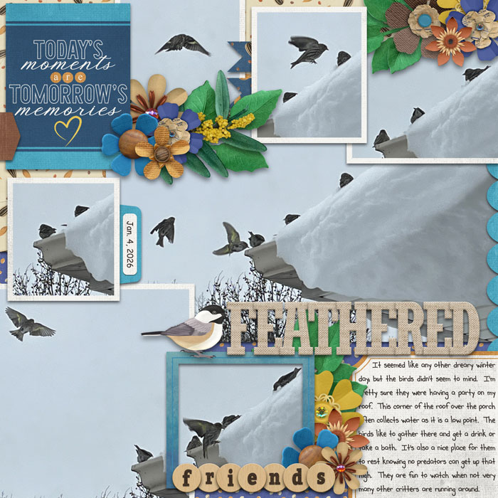 Feathered Friends