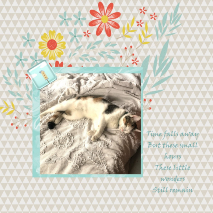Featured Meg & KCB