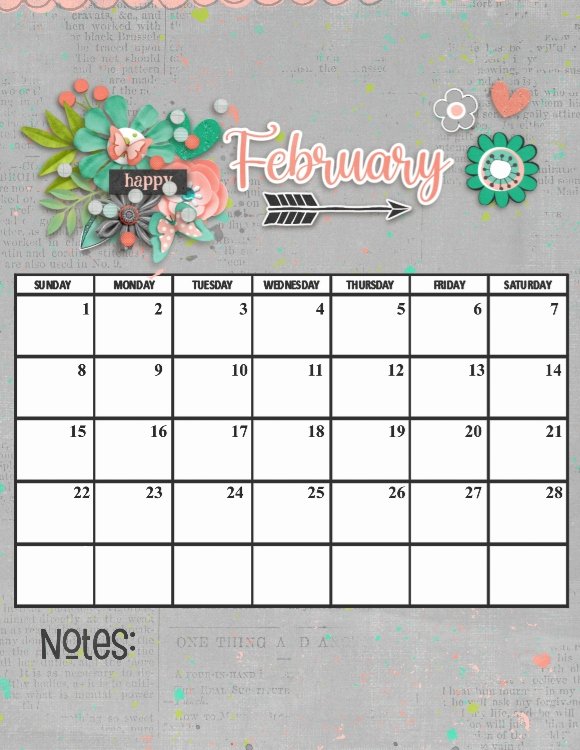 Feb 2026