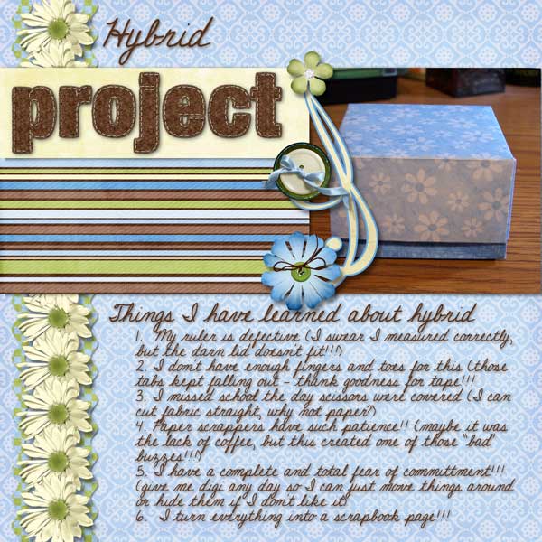 Feb Hybrid Project