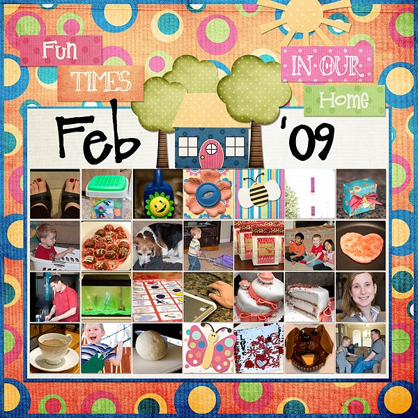 Feb Review 2009