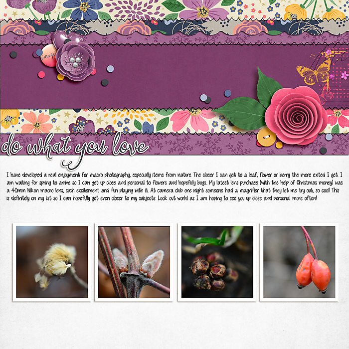 February 2020 Passport to Passion: 12:Composition-By Thirds