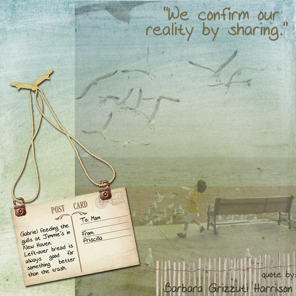 Feed the Gulls - Sharing