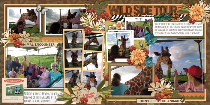 Feeding Giraffes on the Wild Side Tour