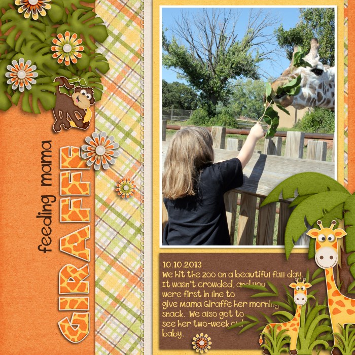 Feeding Mama Giraffe