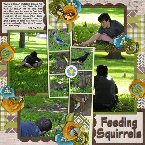 Feeding Squirrels July 2018 Bingo #20