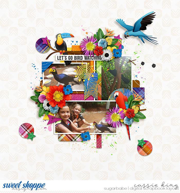 Feeding the birds