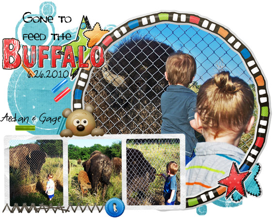 Feeding the Buffalo