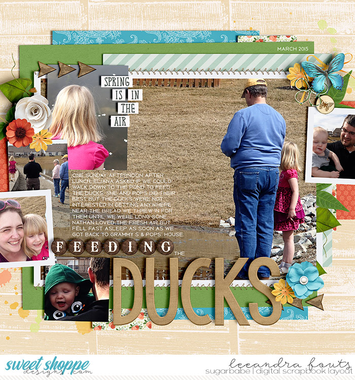 Feeding the Ducks