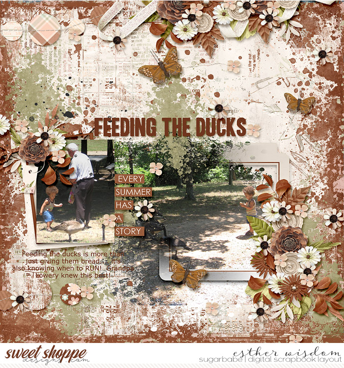 Feeding the Ducks