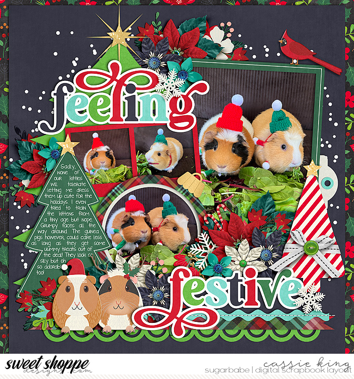 Feeling Festive
