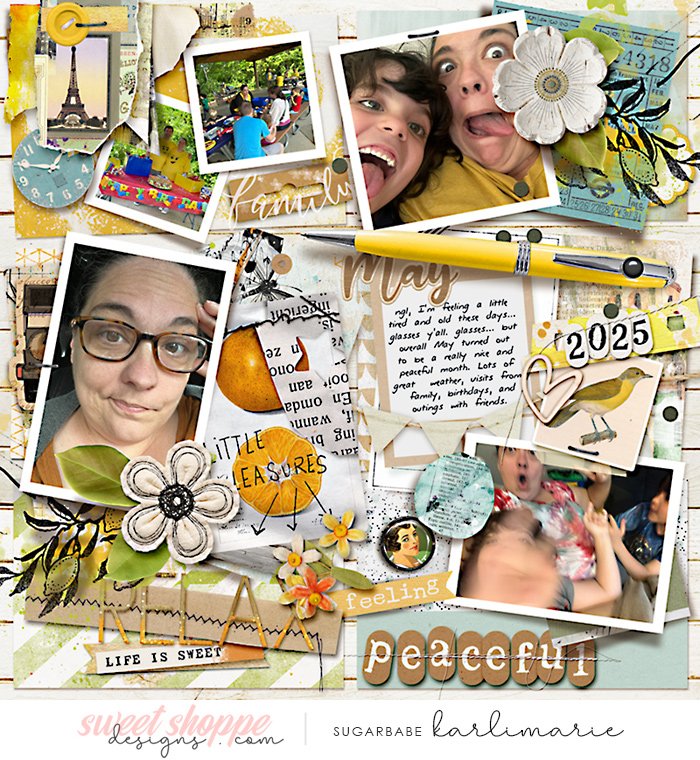 Feelings Journal: May 2025