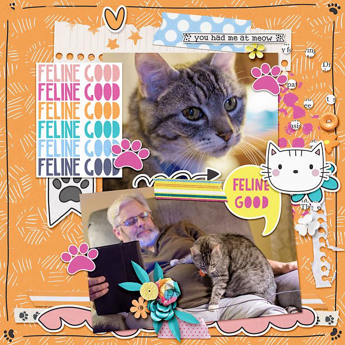 Feline Good