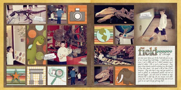 field museum.
