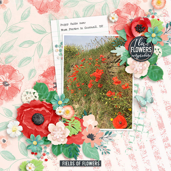 Field of Flowers
